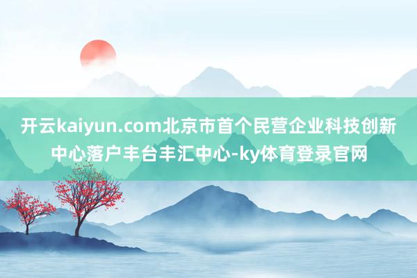 开云kaiyun.com北京市首个民营企业科技创新中心落户丰台丰汇中心-ky体育登录官网