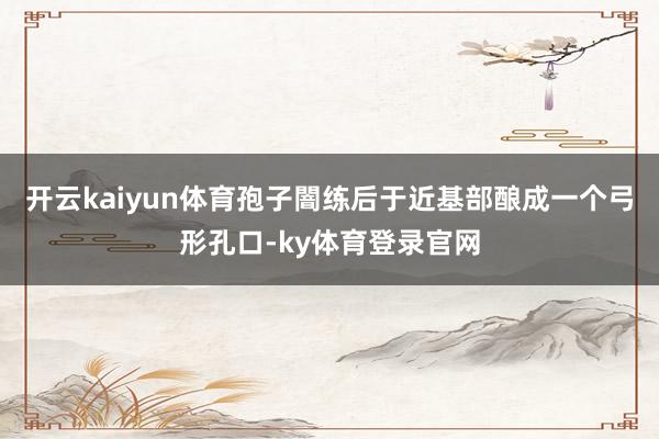 开云kaiyun体育孢子闇练后于近基部酿成一个弓形孔口-ky体育登录官网
