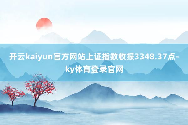 开云kaiyun官方网站上证指数收报3348.37点-ky体育登录官网