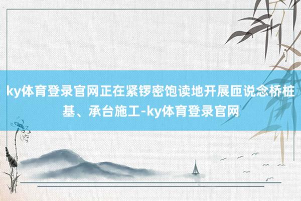 ky体育登录官网正在紧锣密饱读地开展匝说念桥桩基、承台施工-ky体育登录官网