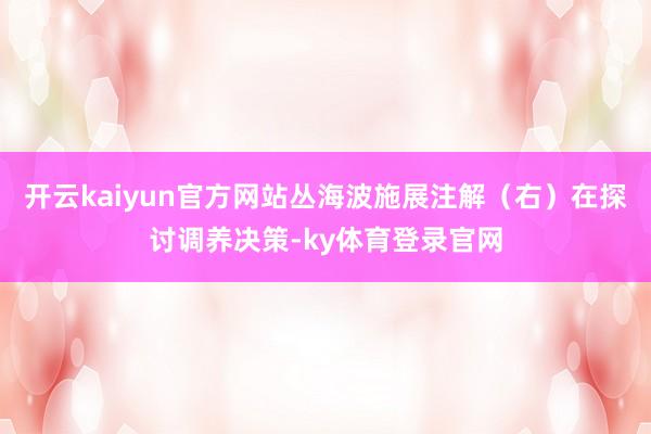 开云kaiyun官方网站丛海波施展注解（右）在探讨调养决策-ky体育登录官网