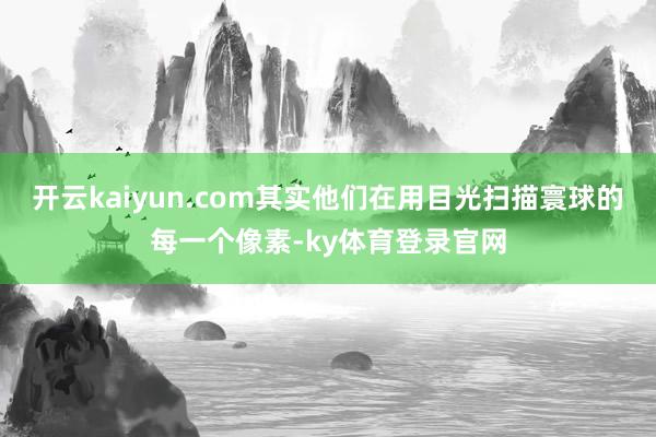 开云kaiyun.com其实他们在用目光扫描寰球的每一个像素-ky体育登录官网