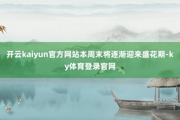开云kaiyun官方网站本周末将逐渐迎来盛花期-ky体育登录官网