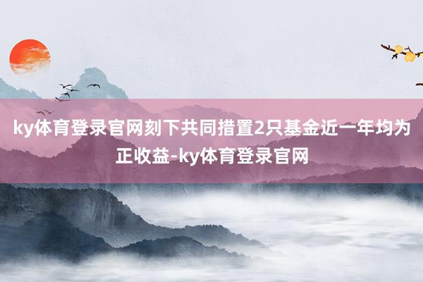 ky体育登录官网刻下共同措置2只基金近一年均为正收益-ky体育登录官网