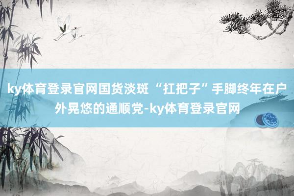 ky体育登录官网国货淡斑 “扛把子”手脚终年在户外晃悠的通顺党-ky体育登录官网