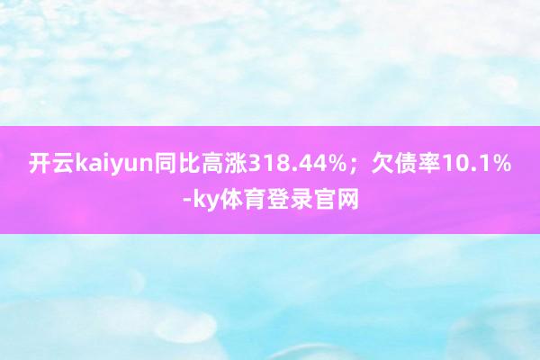 开云kaiyun同比高涨318.44%；欠债率10.1%-ky体育登录官网